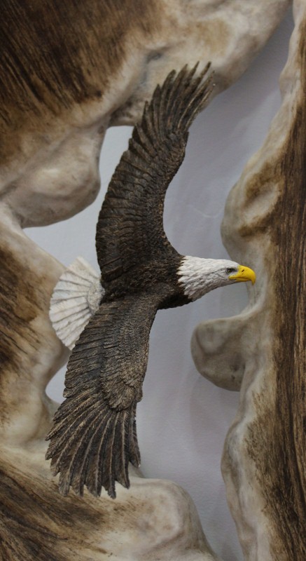  - Eagle detail (437x800)